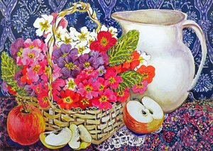 Primula